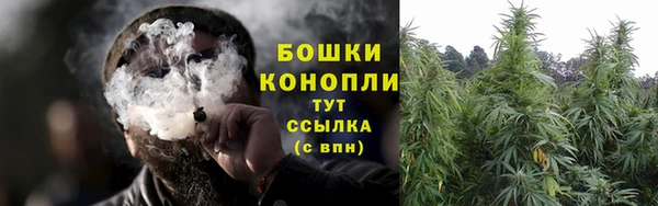 стаф Заволжск