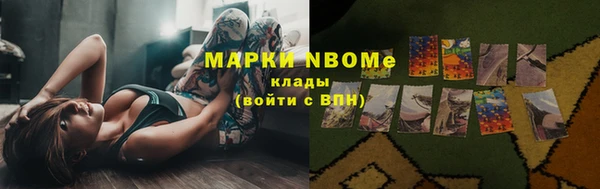 СК Елизово