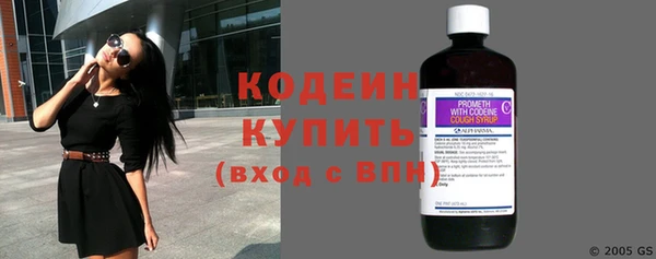 СК Елизово