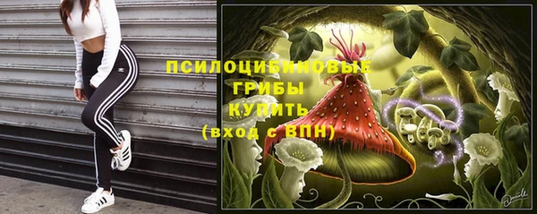 СК Елизово