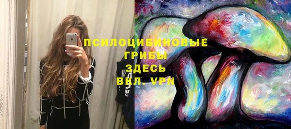 первитин Заволжье